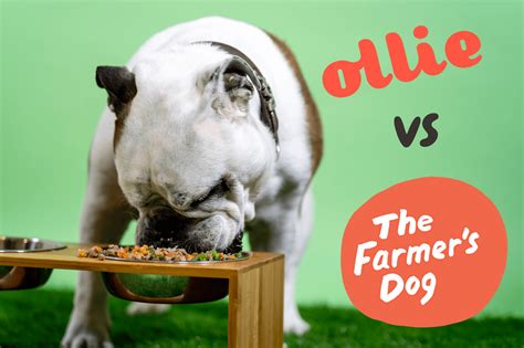 Farmers dog vs ollie. Things To Know About Farmers dog vs ollie. 